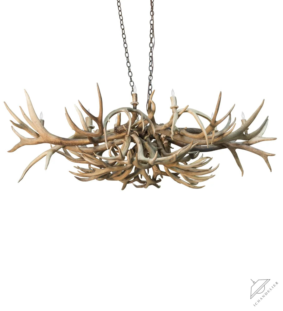 https://assets.wfcdn.com/im/07446729/compr-r85/2383/238311289/10+-+Light+Chandelier.jpg
