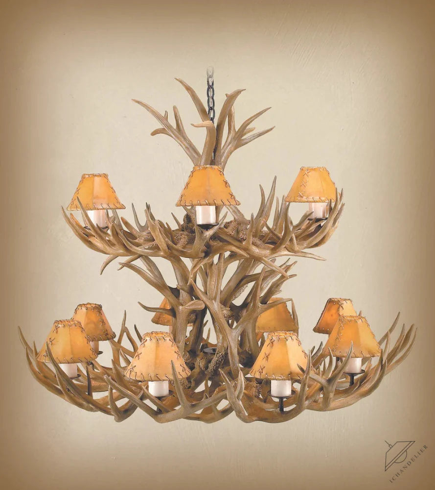 https://assets.wfcdn.com/im/89382426/compr-r85/3302/330286538/12+-+Light+Chandelier.jpg