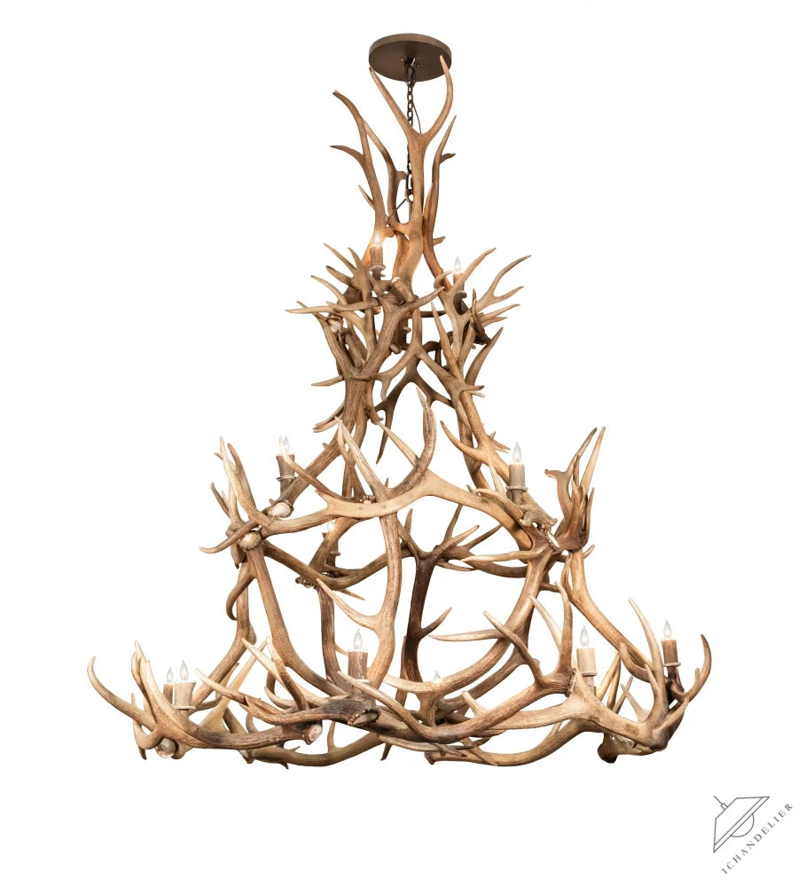 https://assets.wfcdn.com/im/72198888/compr-r85/2383/238313017/16+-+Light+Chandelier.jpg