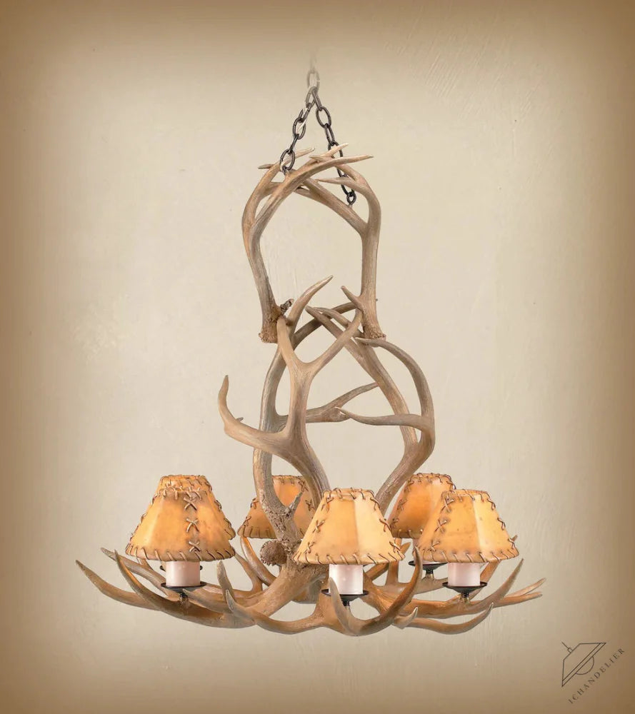 https://assets.wfcdn.com/im/71479763/compr-r85/3302/330286432/6+-+Light+Chandelier.jpg