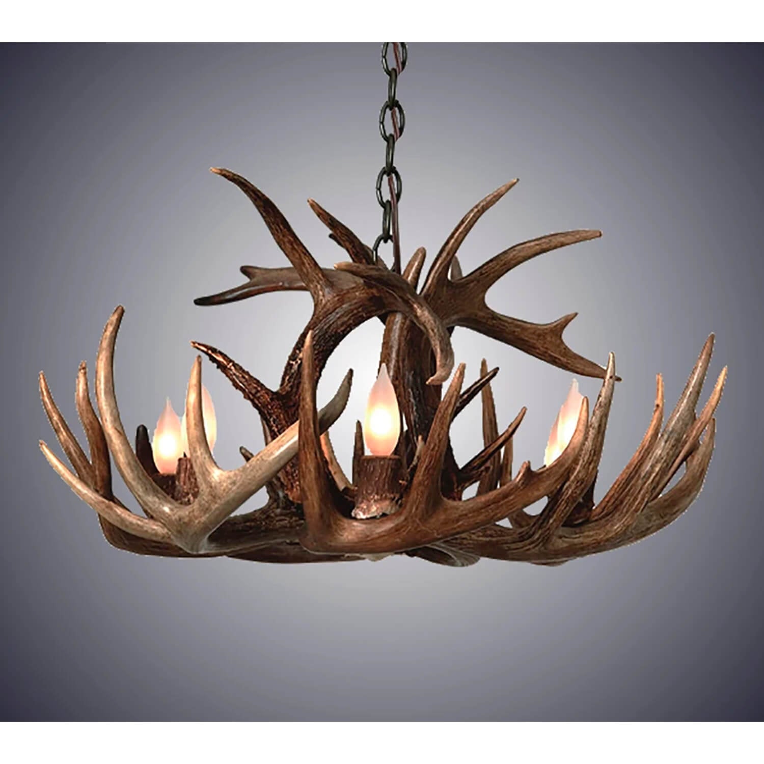https://assets.wfcdn.com/im/77465086/compr-r85/2073/207376348/8+-+Light+Chandelier.jpg
