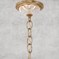 Coinora Century Chandelier 42"
