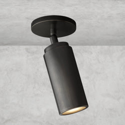 CHAMPEAUX PIVOTING FLUSHMOUNT 9"