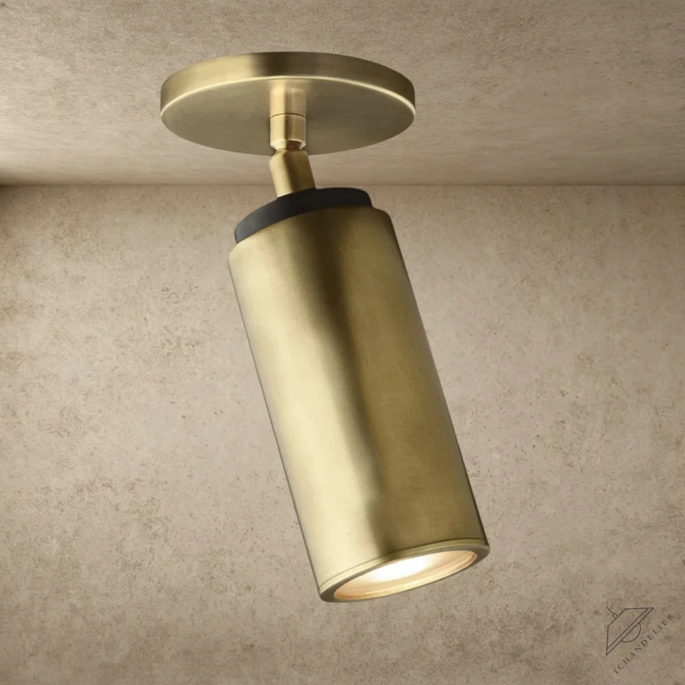Brass/ Bronze CHAMPEAUX PIVOTING FLUSHMOUNT 9"