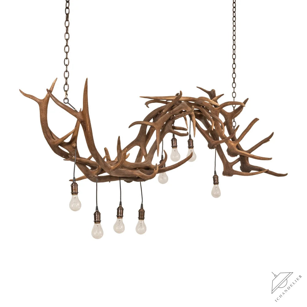 Dragelin 8 - Light Chandelier