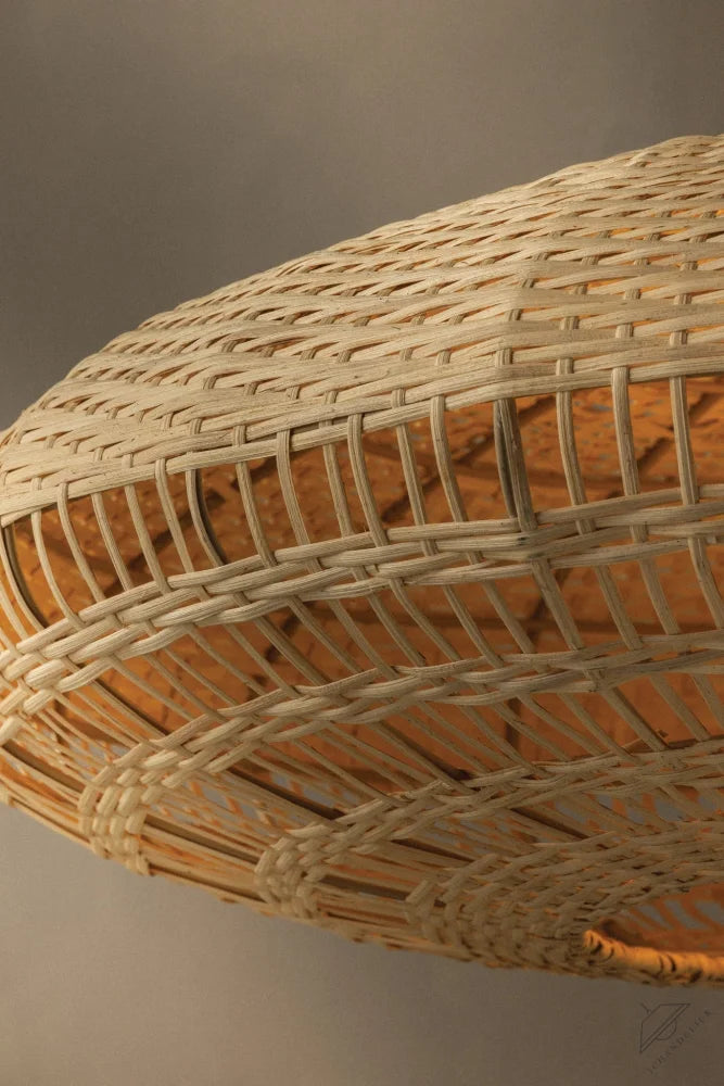 Erin Pendant Light 40"