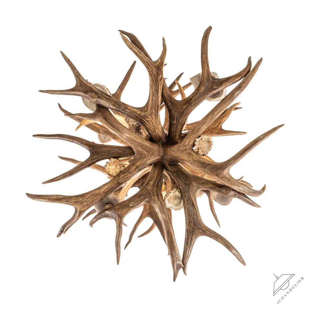 Rustic Lodge 6 - Light Chandelier 20"W